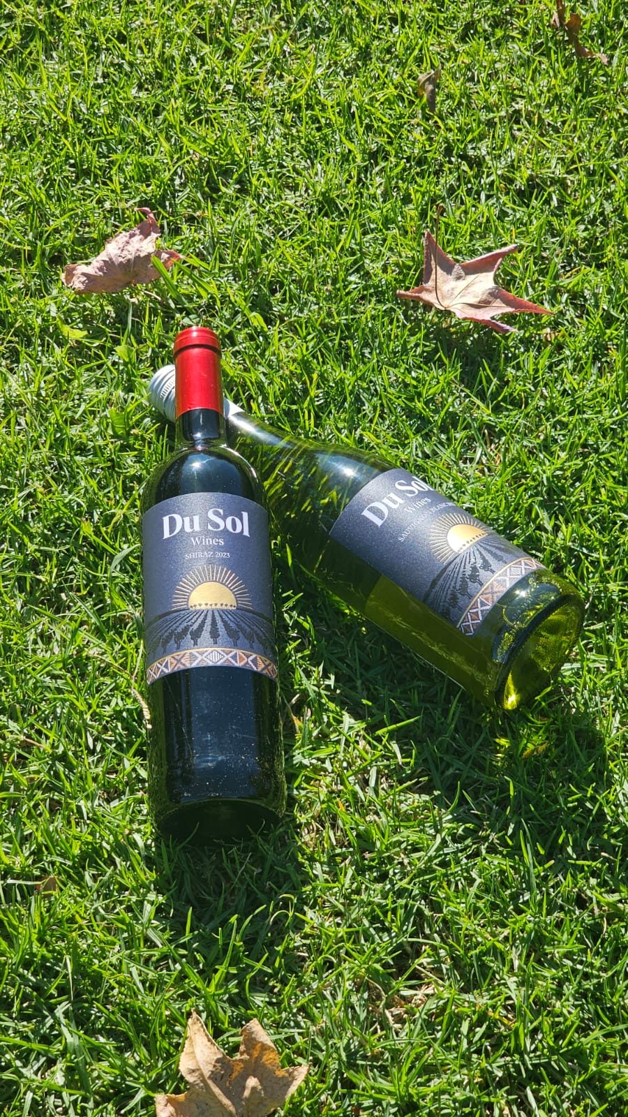 Du Sol Wines bottles photographed on the estate